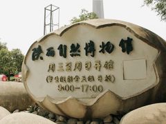 -陕西自然博物馆