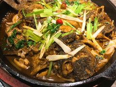 -老板恋上鱼(恒隆广场店)