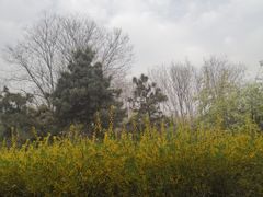 -洛阳市隋唐城遗址植物园