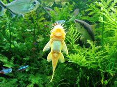 -上海海洋水族馆