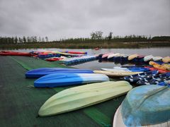 -春花秋色城市公园