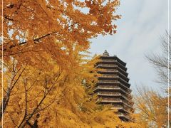 -玲珑塔公园