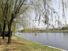 -羊亭河湿地公园