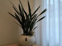 -瑶舍头疗·瑶浴·芳香热石SPA(五洲国际店)