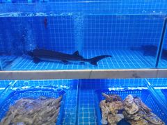 -悦海·家宴·冰花皮皮虾大锅贴(宝龙店)