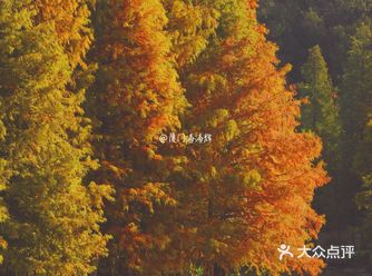 南京旅游|超小众绝美赏秋秘境梅花谷燕雀湖
