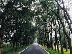 -同里国家湿地公园