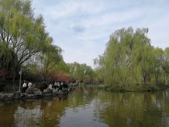 -洛阳市隋唐城遗址植物园