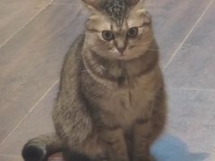 -H立方实景剧情密室(天河旗舰店)