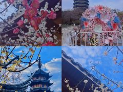 -红梅公园