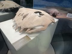 -嘉定博物馆