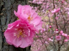 -打包幸福(安发店)