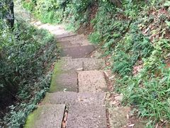 -杭州半山国家森林公园