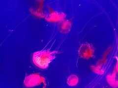 -沈阳海洋探索中心