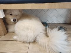 -OZ cafe(南昌路店)