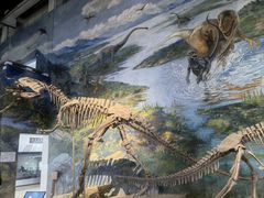 -自贡恐龙博物馆