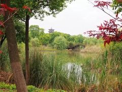 -梁鸿国家湿地公园