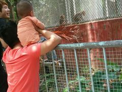 -广东茂名森林公园