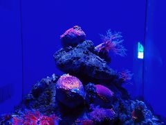 -青岛海底世界-水族馆