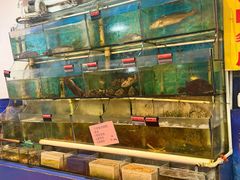-连家船海鲜大排档·20年闽菜店(厦大店)