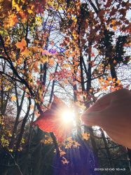 -中国科学院昆明植物研究所植物医生研发中心产品体验馆