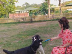 -趣多多宠物公园·宠物训犬学校·宠物寄养