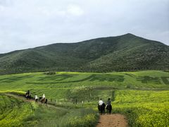 -扁都口生态休闲旅游区