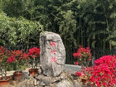 -红螺寺