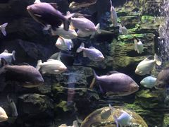 -成都浩海立方海洋公园