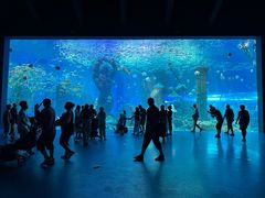 -波塞冬旅游度假区