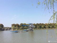 -上海鲜花港