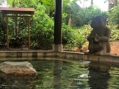 -厦门日月谷温泉渡假村