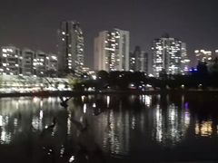 -四海公园(南山区)
