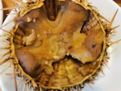 -海胆小馆(东北水饺·春柳店)