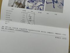 -纳吉亚猫专科动物医院博雅分院