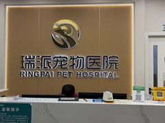 -瑞派康怡24h宠物医院·犬猫医疗中心·微创绝育(瑞景分院)