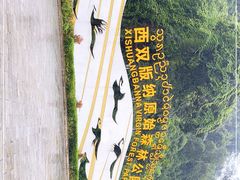 -西双版纳原始森林公园