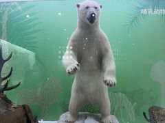 -国家自然博物馆