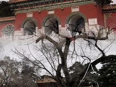 -北陵公园