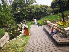 -成都市活水公园