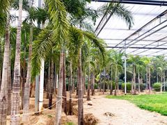 -廊坊文化艺术中心