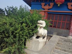 -洛阳古墓博物馆