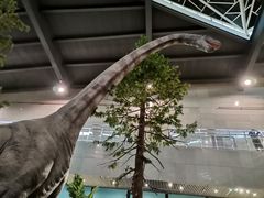 -湖南省地质博物馆