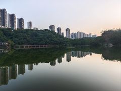 -重庆彩云湖湿地公园