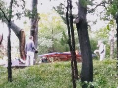 -西安市长乐公园