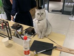 -Oasis绿洲银饰珍珠手作diy(壹方城店)