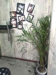 点击看大图 -藤野造型·专业烫染店