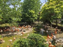 -大连森林动物园