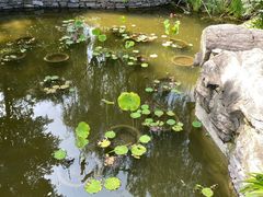 -鹦鹉寺公园