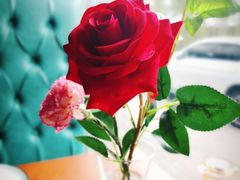 -船家渔(徐州北路店)